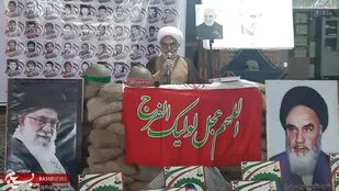 شهرستان رابر بواسطه شهدای بزرگ در صحنه انقلاب خوش درخشیده است