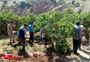 اشتغال ۱۷۰ نفر در بالکن یک مسجد روستا&zwnj;&zwnj;یی/زمین واقفان مساجد به باغ میوه&zwnj; مثمر تبدیل می شود