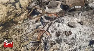 مهار آتش&zwnj;سوزی شاداب&zwnj;کوه پلدختر پس از ۳ روز