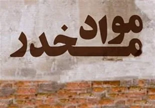 باید از ظرفیت آحاد مختلف مردم در حوزه مبارزه با مواد مخدر بهره&zwnj;مند شویم