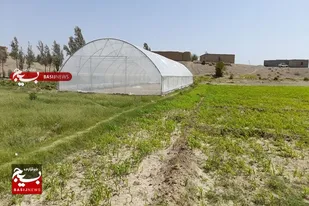 ایجاد اشتغال برای روستائیان با احداث گلخانه های خانگی در سیستان وبلوچستان