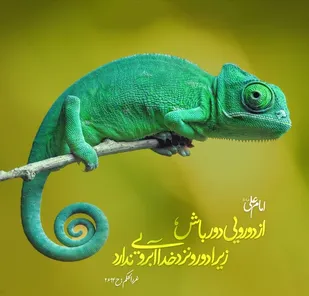 دو رویی و مزمت آن