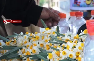 عطرافشانی قبور شهدای شهرستان فارسان