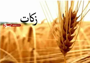بیجاری&zwnj;ها ۴۰ میلیارد ریال زکات گندم پرداخت کردند