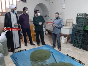 بازدید از کارگاه صنایع تبدیل محصولات باغی عقابکوه در اسلامیه