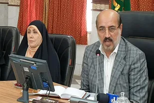 اعتقاد دارم مافیای بسیار قوی خودرو در کشور وجود دارد