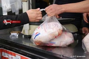 توزیع ۳۴۰۰ کیلو گرم گوشت مرغ  بین نیازمندان توسط گروه های جهادی بسیج دانشجویی استان