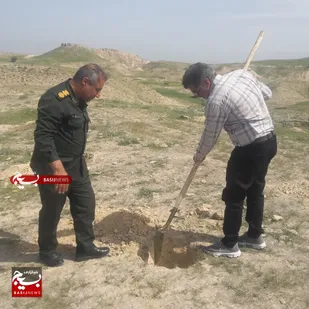 کاشت ۵۰۰ نهال درخت در بهبهان+عکس
