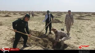 نهالکاری جهادگران چهارمحالی در اهواز