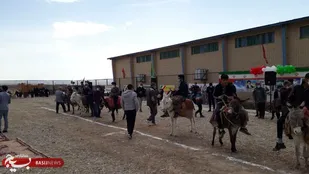 برگزاری مسابقات بومی و محلی در روستای چهارطاق، شاهرود+ تصاویر