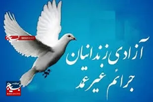 ۳۱ مددجوی جرائم غیرعمد در جنوب کرمان آزاد شدند