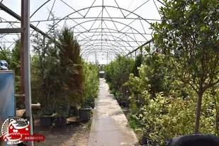 بهره برداری از ۱۷ پروژه کشاورزی در طرقبه شاندیز + عکس