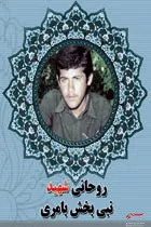 نامگذاری یک خیابان در دلگان به نام بسیجی شهید نبی بخش بامری