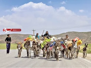 ۲ هزار و ۳۰۰ کیلومتر راه عشایری در ایلام وجود دارد