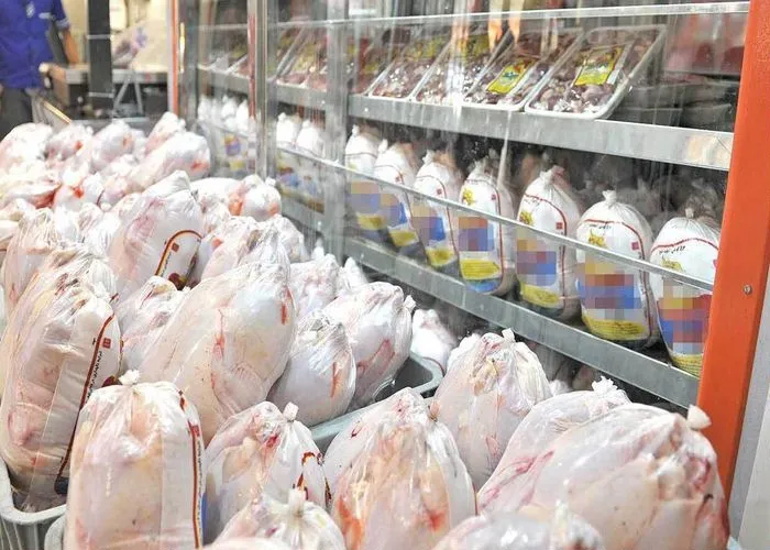 نابسامانی بازار مرغ ایلام بدلیل تفاوت قیمت با استان های همجوار است