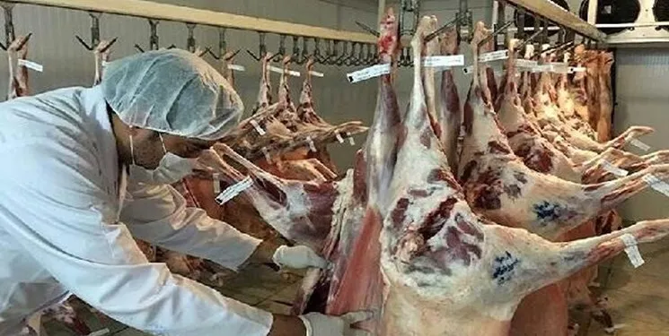 نظارت شرعی و بهداشتی ذبح دام در تاسوعا و عاشورای حسینی (ع)در ایلام