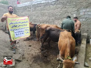 خدمت جهادگران به مردم مسئولیتی بدون چشمداشت/ از جهادگری تا جذب سرمایه گذار