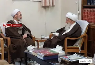 مدیر حوزه های علمیه با آیت الله العظمی صافی دیدار کرد