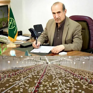 سرمایه گذاری۲ هزار میلیارد تومانی برای احداث ۳۶۰ واحد مرغداری
