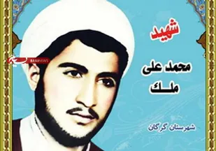توزیع وصیت نامه سردار شهید محمد علی ملک بین زائرین کربلای ایران