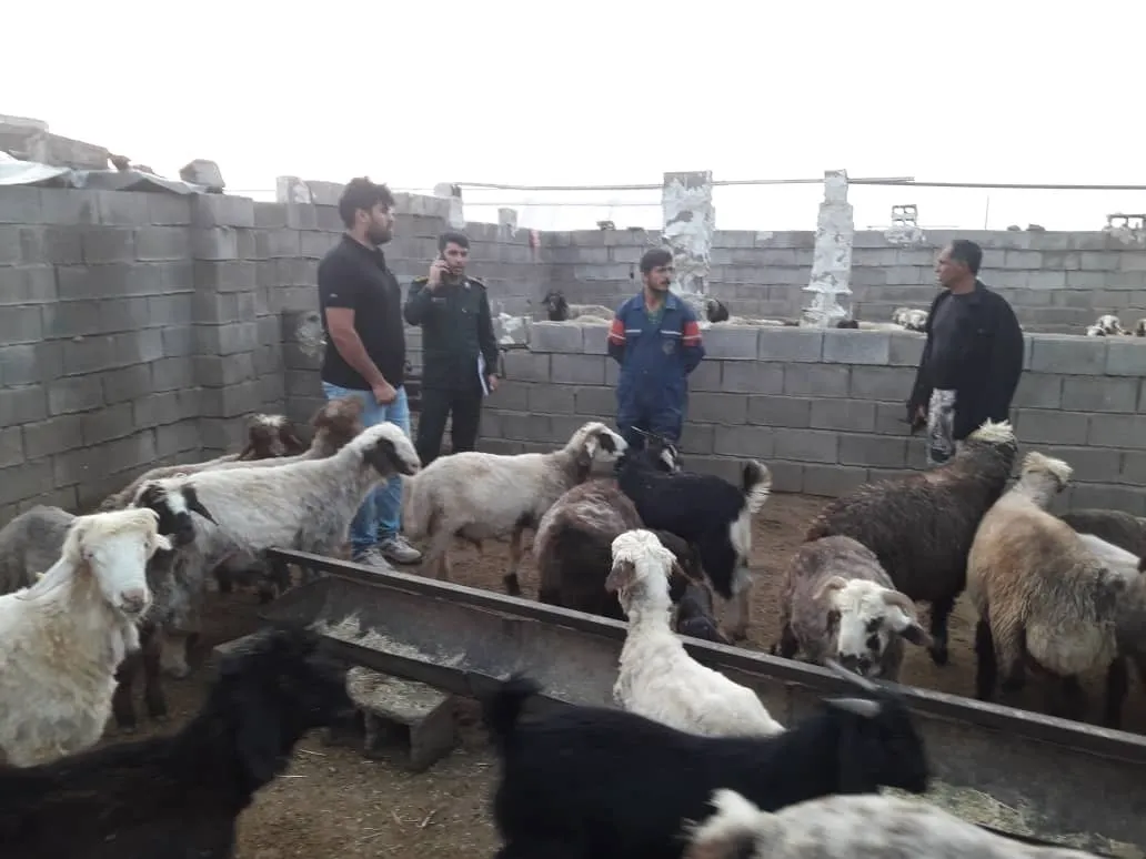 مشکلات تعاونی ها و دامداری های شهرستان چرام بررسی شد
