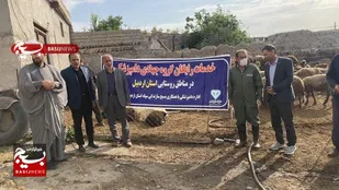 واکسیناسیون هزار راس دام علیه تب برفکی در اردبیل