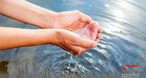 تطهیر نمودن تن به خاطر نزدیکی به شجره دنیا(حقیقت باطنی وضو)