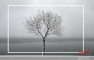 استان اردبیل؛ لغزنده و یخبندان