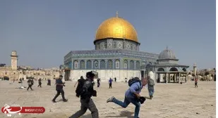 خواستار دخالت فوری عربی و اسلامی و بین المللی برای توقف تجاوزات اشغالگران در قدس هستیم