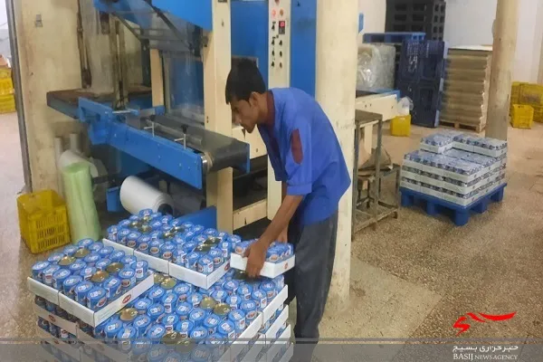 بیش از ۵۲ هزارتن کنسرو ماهی در دشتیاری تولید می‌شود