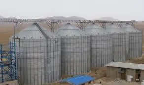 هزینه حمل و نقل به گندم‌کاران کشت قراردادی در ایلام پرداخت می شود