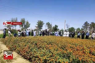 اجرای 60 کارگاه جهاد میدانی محققان برای جهش تولید با مشارکت مردمی در استان مرکزی
