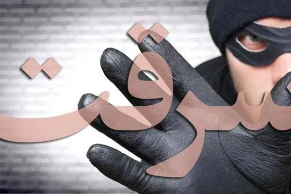 دستگیری ۷ سارق و کشف ۱۰ فقره سرقت در ملایر
