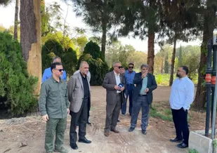 تأکید سازمان منابع طبیعی بر تولید نهال&zwnj;های سازگار با اقلیم در استان سمنان