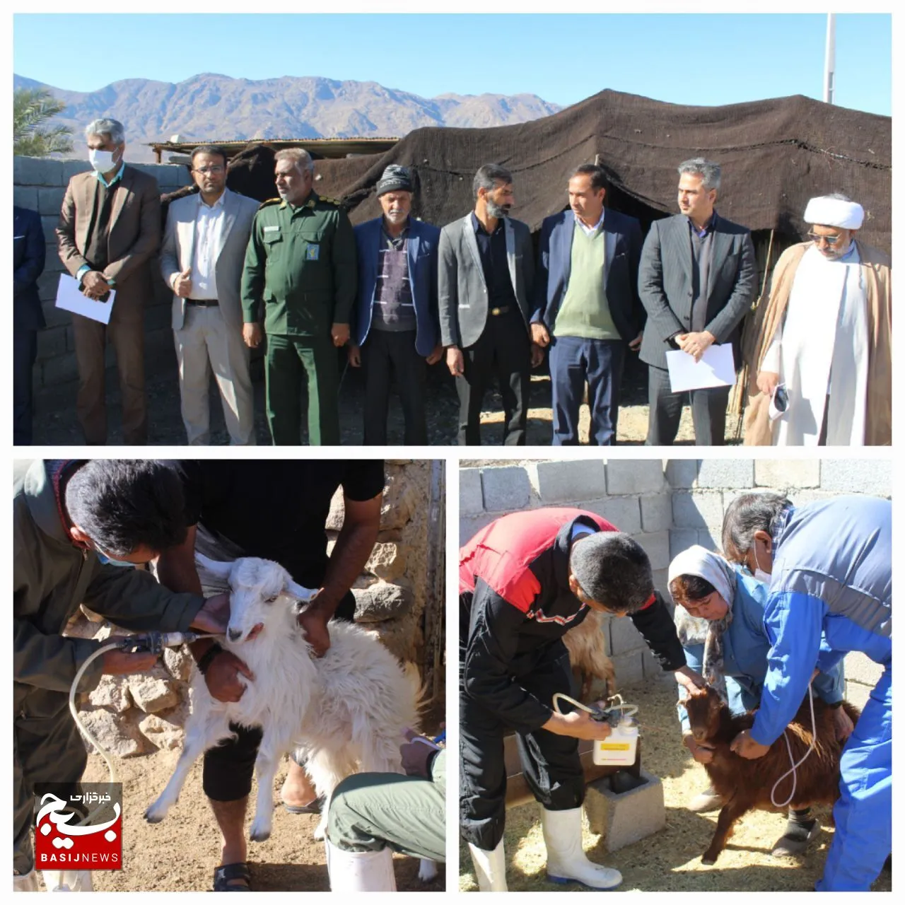 نهمین رزمایش خدمات جهادی دامپزشکی تحت عنوان شهدای راه قدس در شهرستان حاجی آباد بخش مرکزی برگزار شد