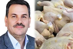 تولید مرغ سایز اولویت جدی امروز کشور است