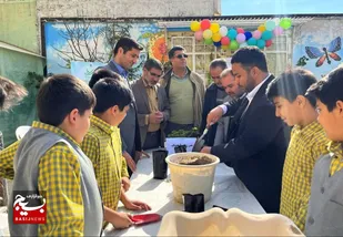 کاشت ۵۷۰۰ بذر بادام کوهی و زبان گنجشک توسط دانش آموزان کاشمری