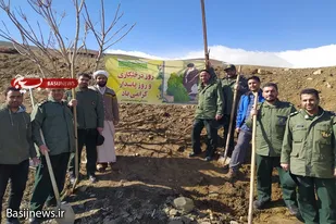 کاشت ۵۰ اصله نهال مثمر در اردوگاه شهید شهبازی همدان