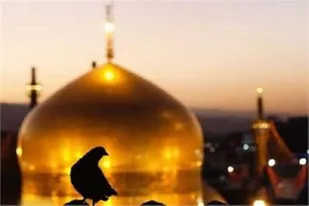 رایحه رضوی با حضور کاروان &laquo;زیر سایه خورشید&raquo; در ملایر پیچید