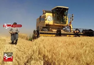گندمکاران اردبیلی صددرصد مطالبات خود را دریافت کردند