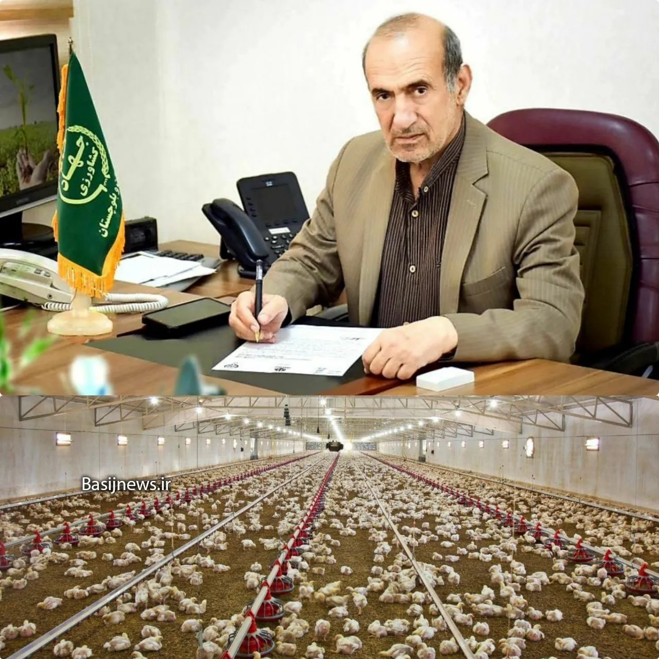 سرمایه گذاری۲ هزار میلیارد تومانی برای احداث ۳۶۰ واحد مرغداری