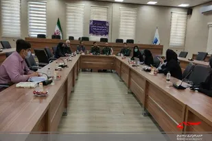 اجرای ۲۶۵ برنامه در هفته دولت توسط سازمان بسیج ادارات و کارمندان استان