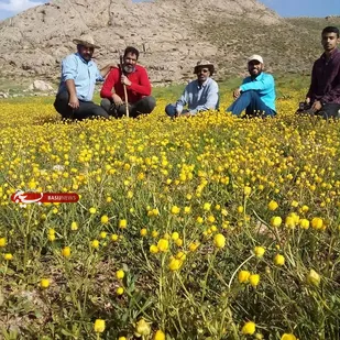 اردوی خانوادگی فرهنگی، سیاحتی بسیجیان و رزمندگان گردان
