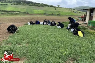 اردوی تفریحی و علمی خواهران بسیجی در سرخه برگزار شد