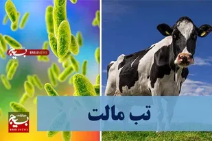 تب مالت بیماری هزار چهره&zwnj; در گرما