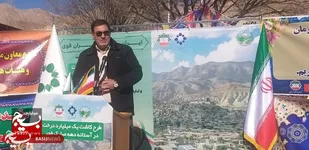 نهالکاری ۵۰۰ هکتار از زمین&zwnj;های استان سمنان در طرح زراعت چوب