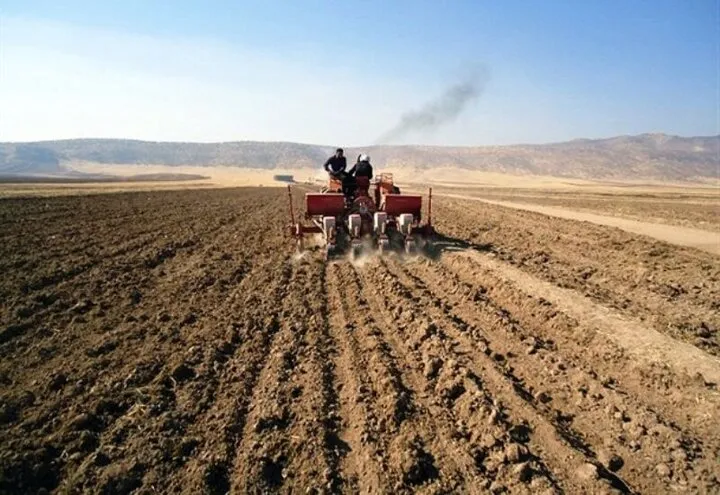 الگوی کشت