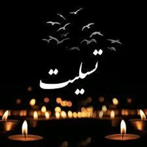 رئیس سازمان بسیج اساتید کشور درگذشت والده دکتر کریم نجفی برزگر را تسلیت گفت