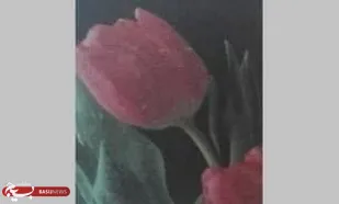 دفاع از اسلام تکلیف است باید بروم