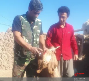 اجرای طرح شهید قربانلو در روستای سطوه شاهرود
